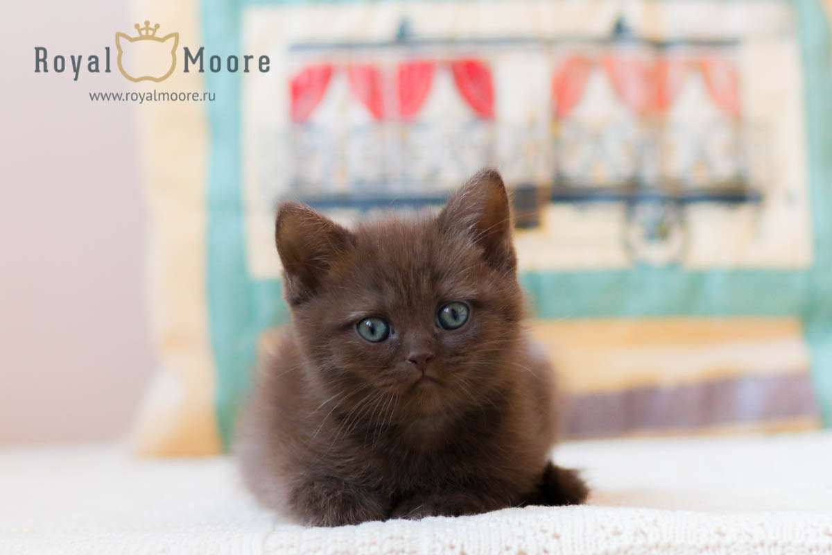 Floriana Lima_03